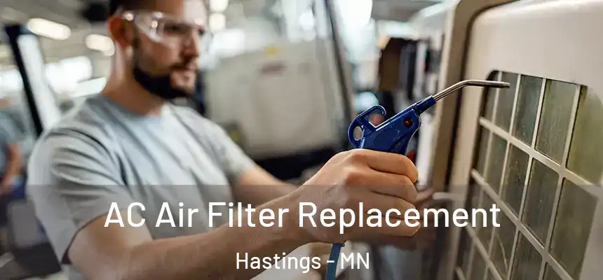  AC Air Filter Replacement Hastings - MN