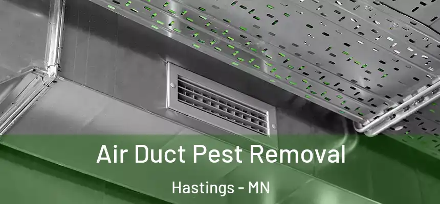  Air Duct Pest Removal Hastings - MN