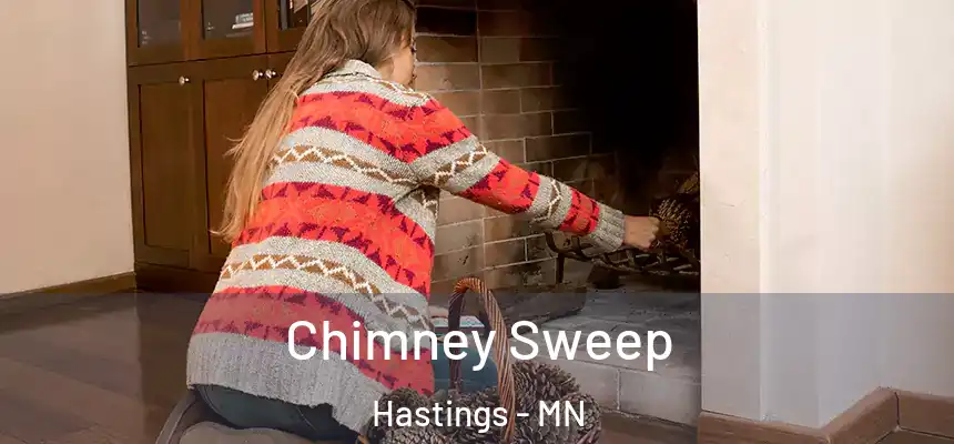  Chimney Sweep Hastings - MN
