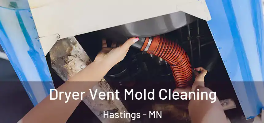  Dryer Vent Mold Cleaning Hastings - MN