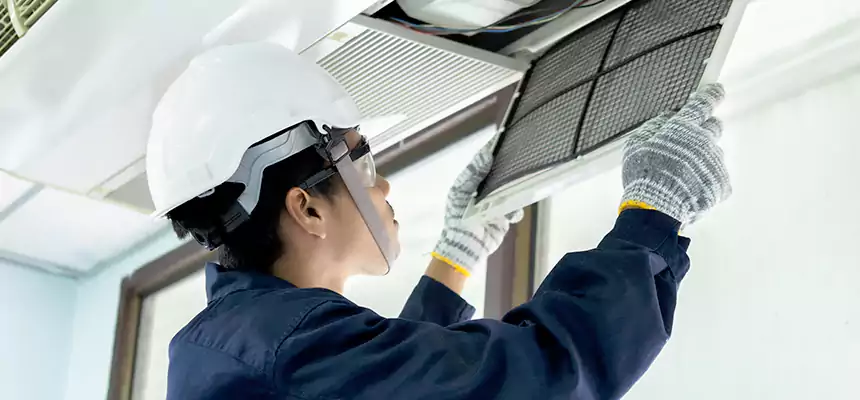 Our Mold & Mildew Removal from Air Ducts Services in Hastings, MN