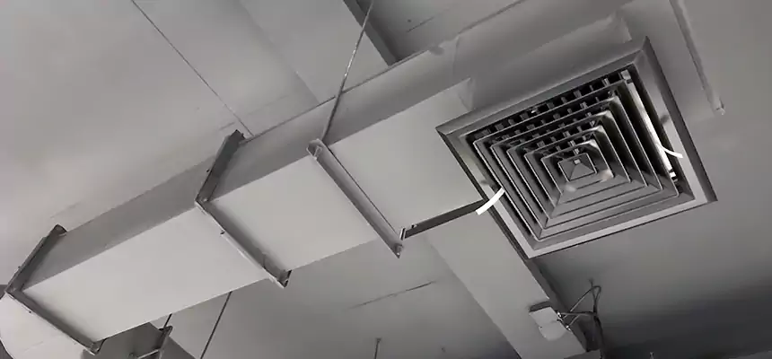 Our Pest Removal From Ducts Services in Hastings, MN