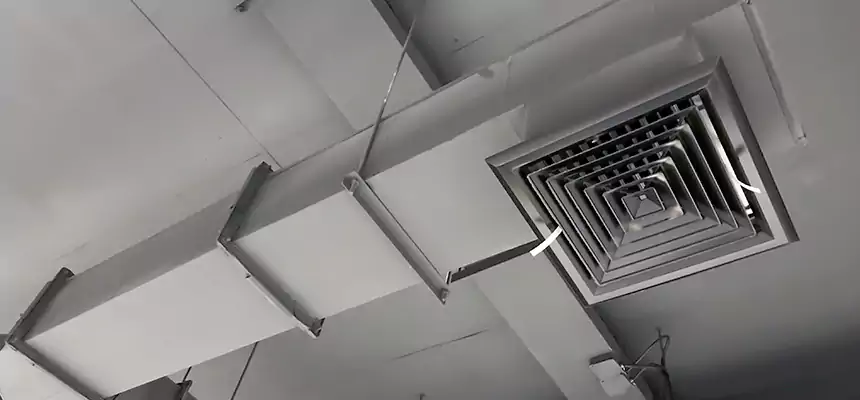 Our Rodent Droppings In Vents Services in Hastings, MN