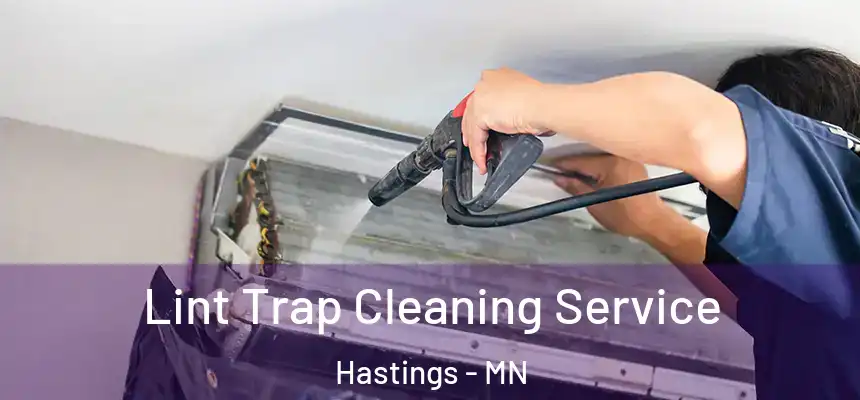  Lint Trap Cleaning Service Hastings - MN