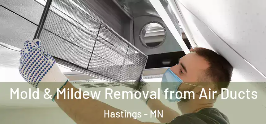  Mold & Mildew Removal from Air Ducts Hastings - MN