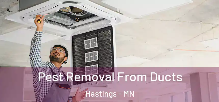  Pest Removal From Ducts Hastings - MN