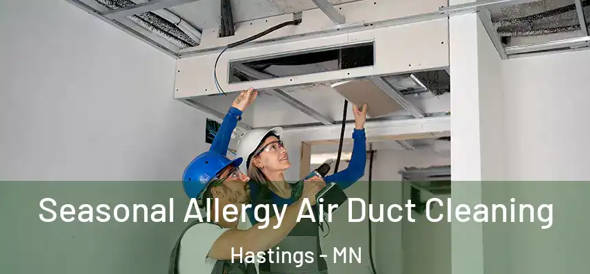  Seasonal Allergy Air Duct Cleaning Hastings - MN