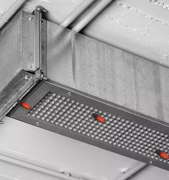 About Air Duct Cockroach Removal in Hastings, MN