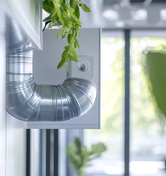 Professional Eco-Safe Dryer Vent Cleaning in Hastings, MN