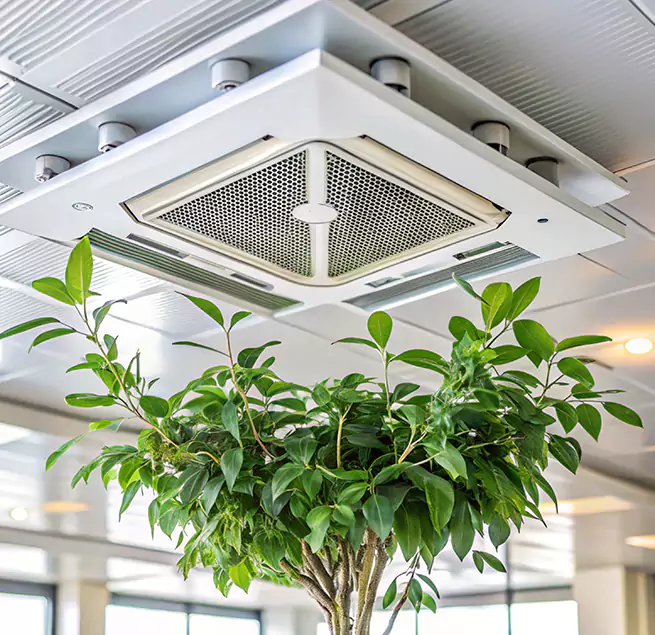 Why Homeowners & Businesses Trust Us in Hastings, MN?