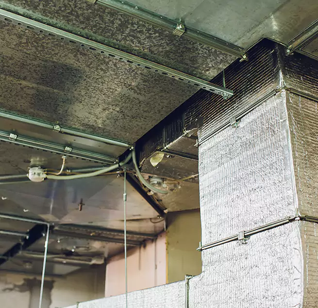 Why Homeowners & Businesses Trust Us in Hastings, MN?